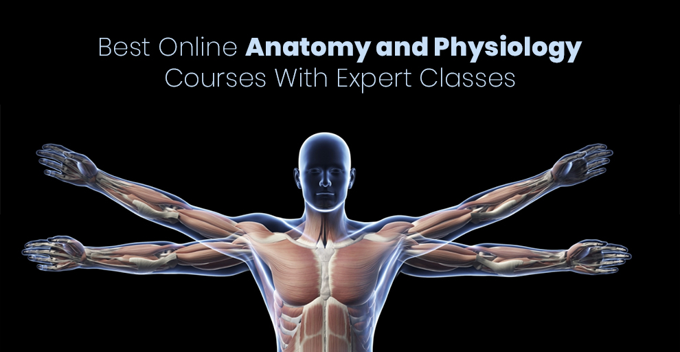 Best anatomy and physiology online course
