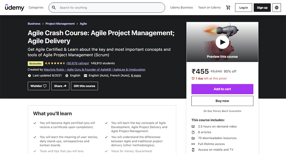 Agile Crash Course: Agile Project Management; Agile Delivery