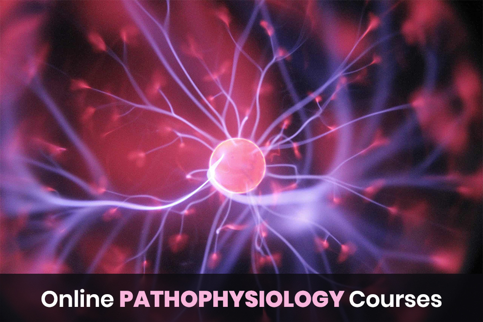 Best Online Pathophysiology Classes