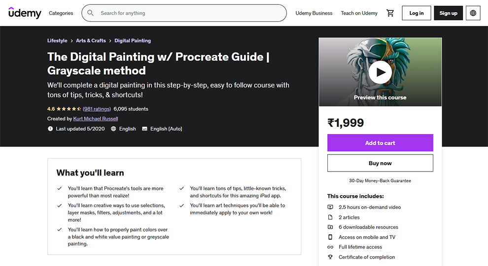 The Digital Painting  Procreate Guide