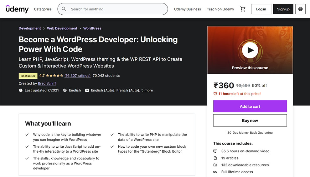 Become a WordPress Developer: Unlocking Power With Code