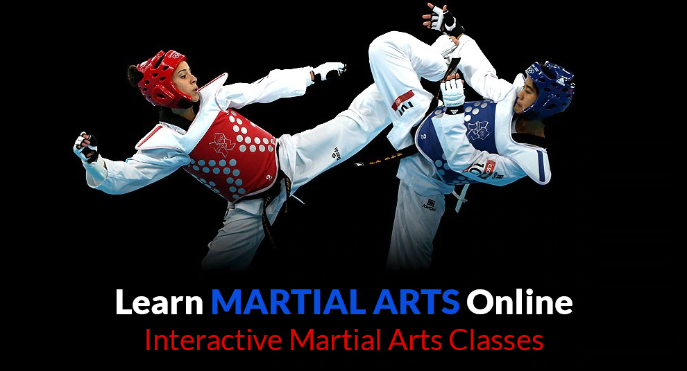 Best Online Martial Arts Classes