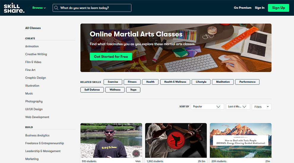 Online Martial Arts Classes