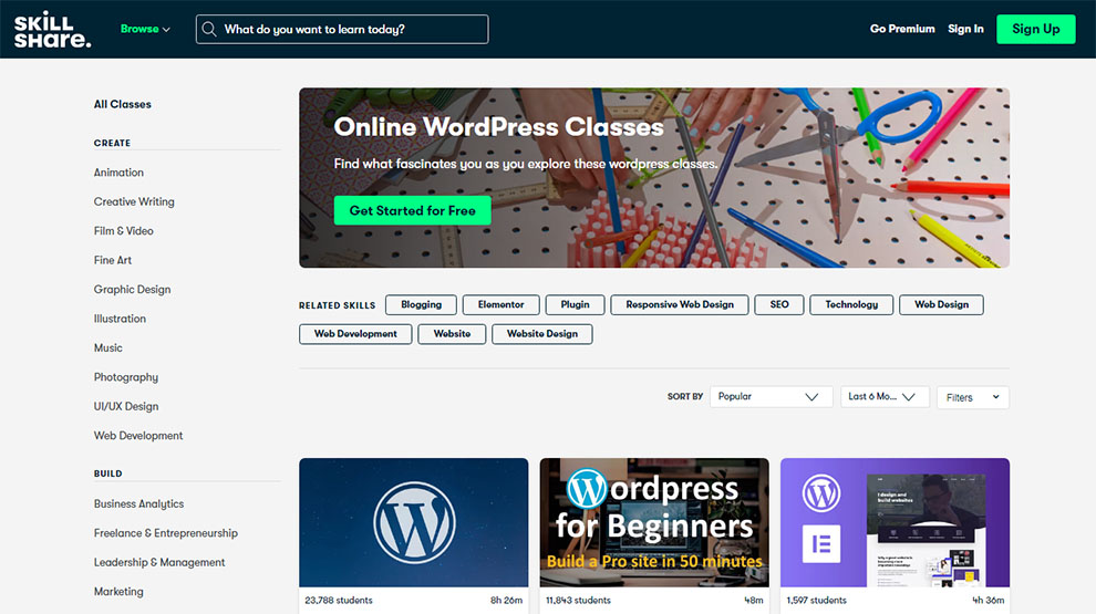 WordPress Course Online with Classes