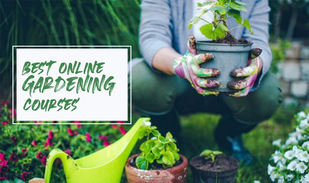 Learn Gardening Online