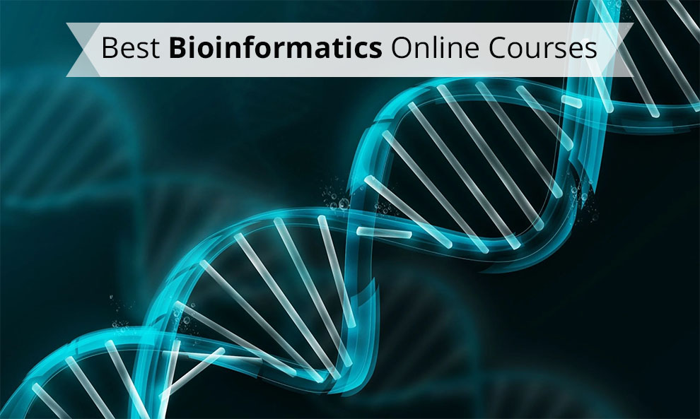 Best Online Classes and Courses for Bioinformatics Training