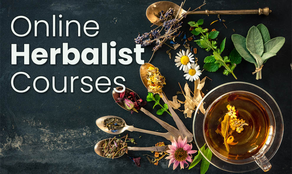 Best Online Herbalist Classes