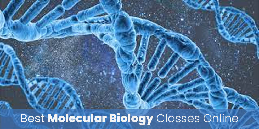 Best Molecular Biology Classes Online