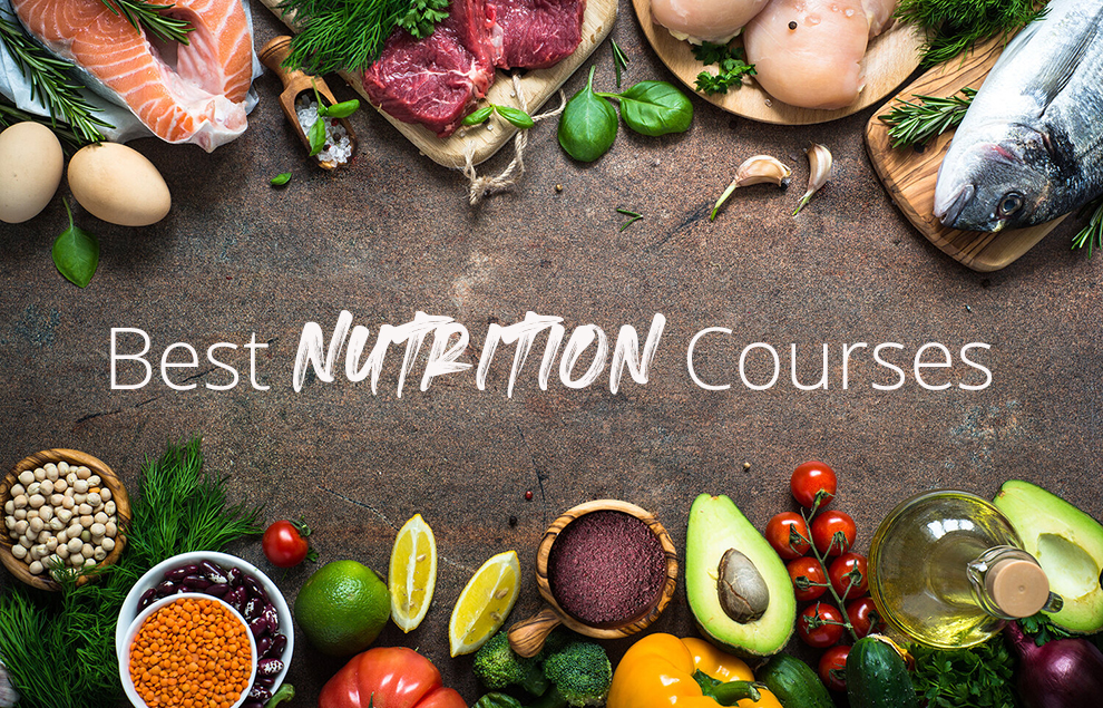 Best Nutrition Classes Online