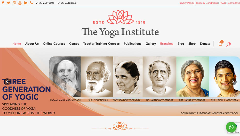 Online Yoga Courses