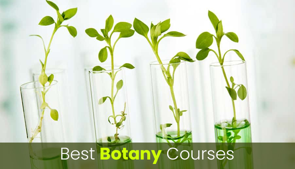 Best Online Botany Courses