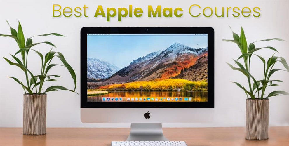 Best Apple Mac Courses
