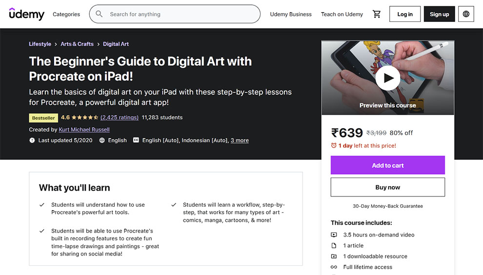 The Beginner's Guide to Digital Art with Procreate on iPad