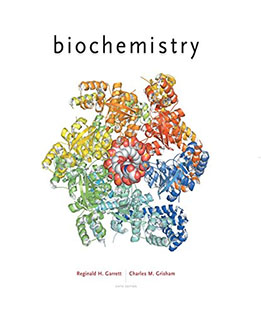 Biochemistry 6th Edition