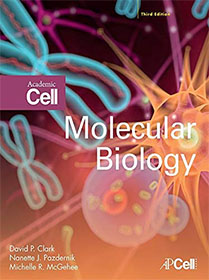Molecular Biology 3rd Edition