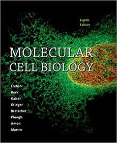 Molecular Cell Biology Eighth Edition