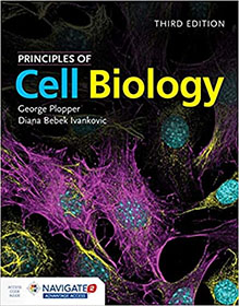 Principles of Cell Biology 3rd Edition