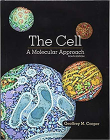 The Cell: A Molecular Approach 8th Edition