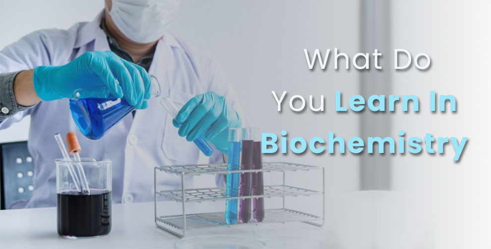 What do you learn in biochemistry