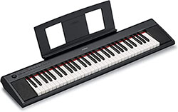 Yamaha NP12