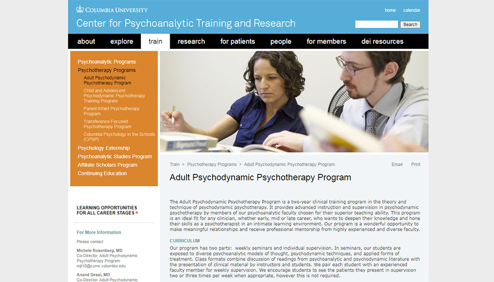 Adult Psychodynamic Psychotherapy Program