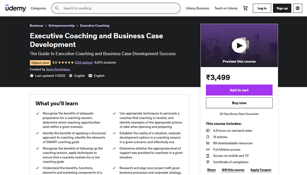 Executive Coaching and Business Case Development