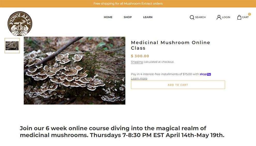 Medicinal Mushroom Online Class