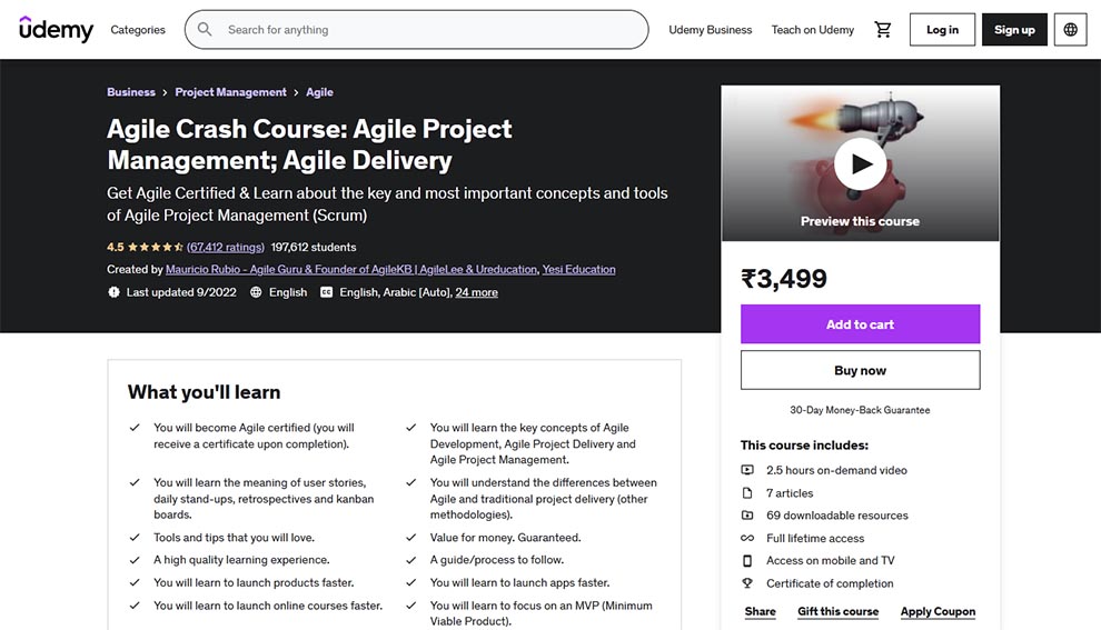 Agile Crash Course: Agile Project Management; Agile Delivery