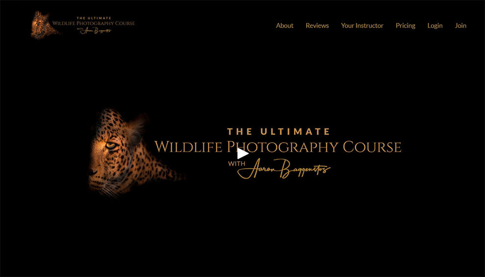Most Comprehensive Coverage - The Ultimate Wildlife Photography by Aaron Baggenstos]