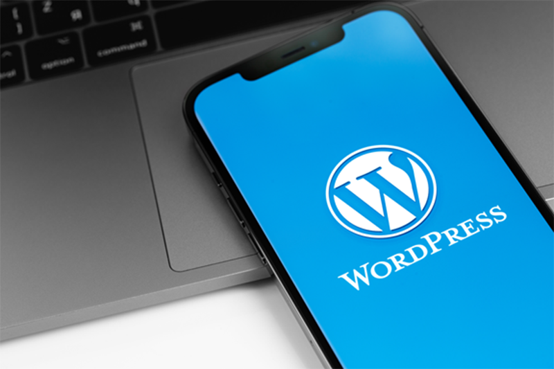 Mobile Responsiveness in WordPress Websites